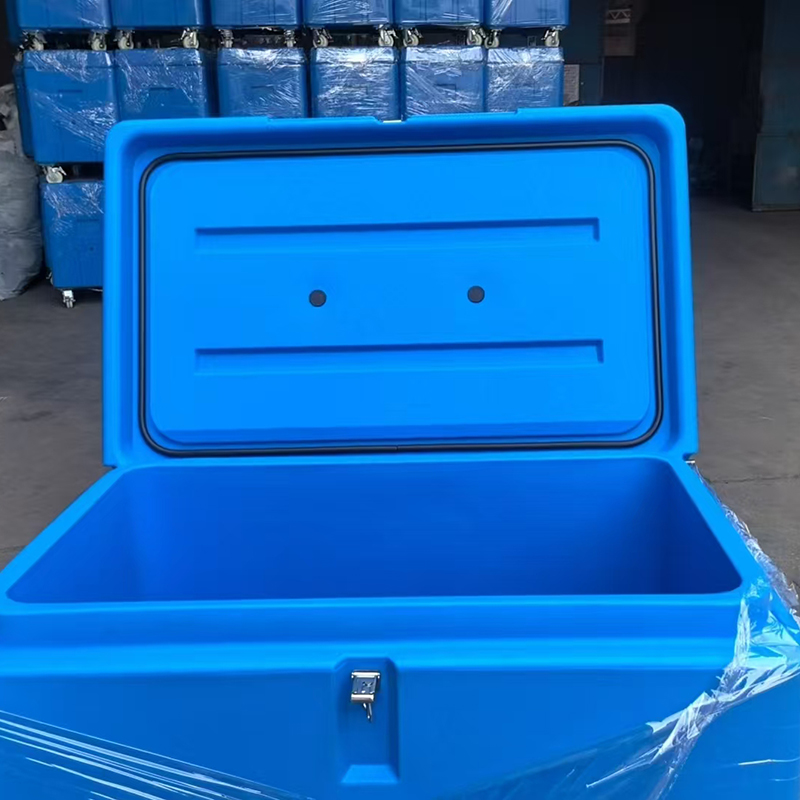 Dry Ice Insulated Box 